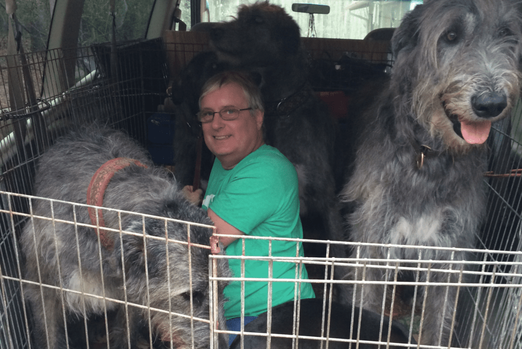 Is My Pet’s Limp Serious? Homestead Veterinary Hospital