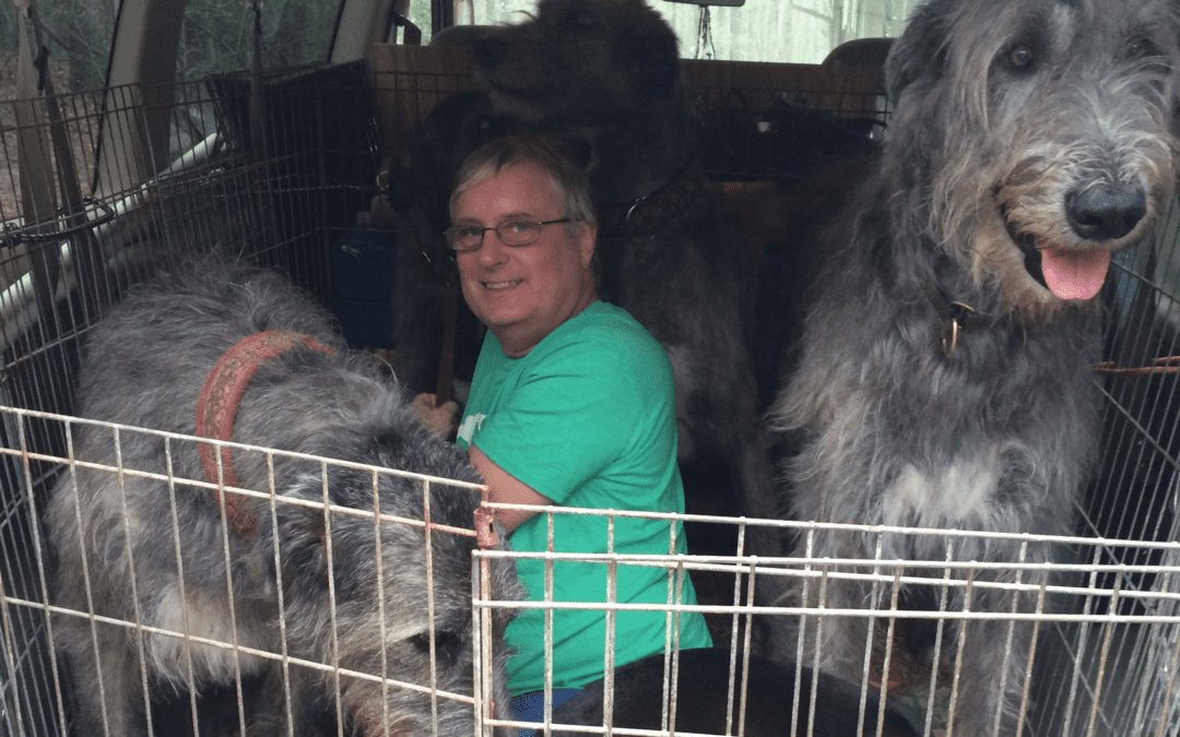 Is My Pet’s Limp Serious?