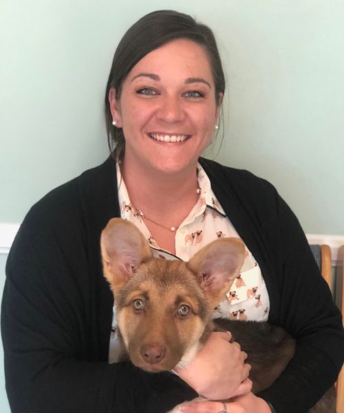 Dr holding a puppy